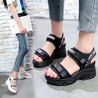 Dép quai hậu độn đế 8cm
