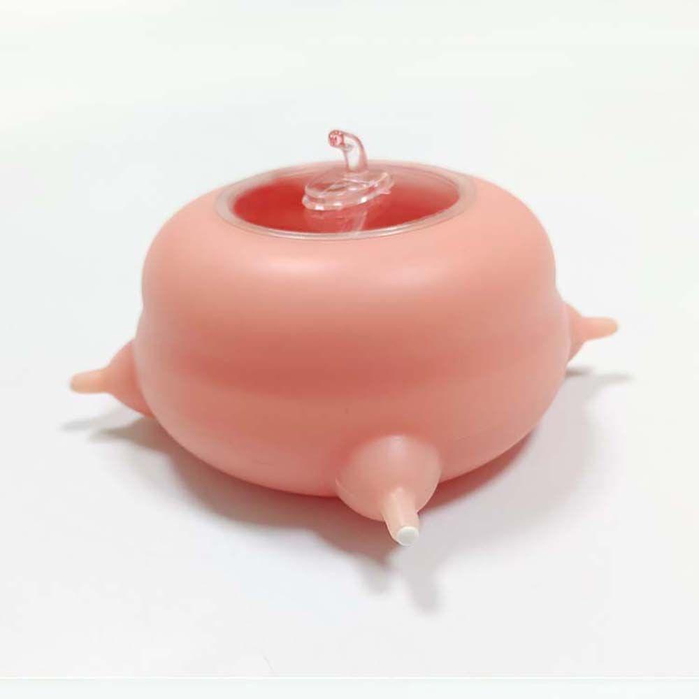 Bộ 3 Núm Vú Giả Cho Thú Cưng Uống Sữa 200ML