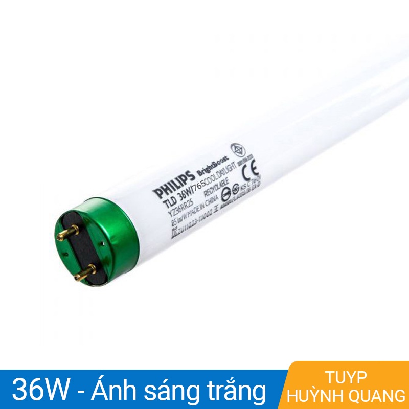 Bóng đèn huỳnh quang T8, T10 Philips, Điện Quang 0.6m, ánh sáng trắng - Điện nước gia dụng Hoàng Kim