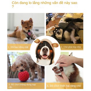 HOTĐồ chơi thú cưng con chó tự chào