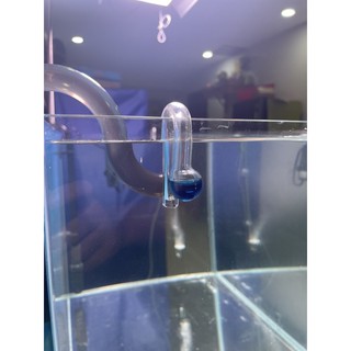 Bộ test co2 thủy sinh