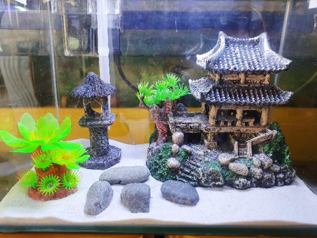 COMBO HỒ CÁ TRANG TRÍ 30x17x20cm