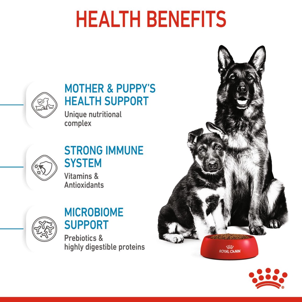 10kg - Hạt chó cỡ lớn Maxi Puppy Royal Canin dành cho Chó con giống lớn khi trưởng thành nặng 26 - 44kg