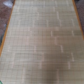 Chiếu trúc tây bắc