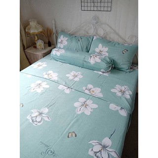 Bộ chăn ga gối cotton mịn