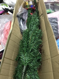 Cây thông noel