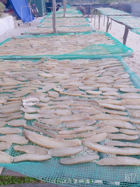 ĐẶC SẢN KHOAI GIEO QUẢNG BÌNH 1kg | BigBuy360 - bigbuy360.vn