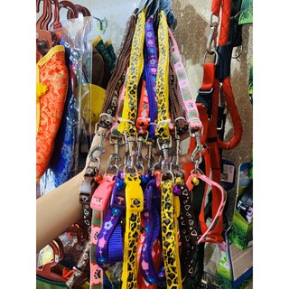 Dây dắt vòng cổ chó mèo kèm chuông