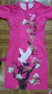 Áo váy mẹ con