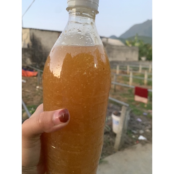 Mật Ong Rừng Lai Châu  [ Mật Chuẩn Tự Nhiên , Thơm , Đặc Quánh ]