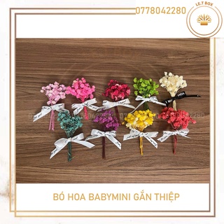 Bó hoa baby mini nhiều màu sắc