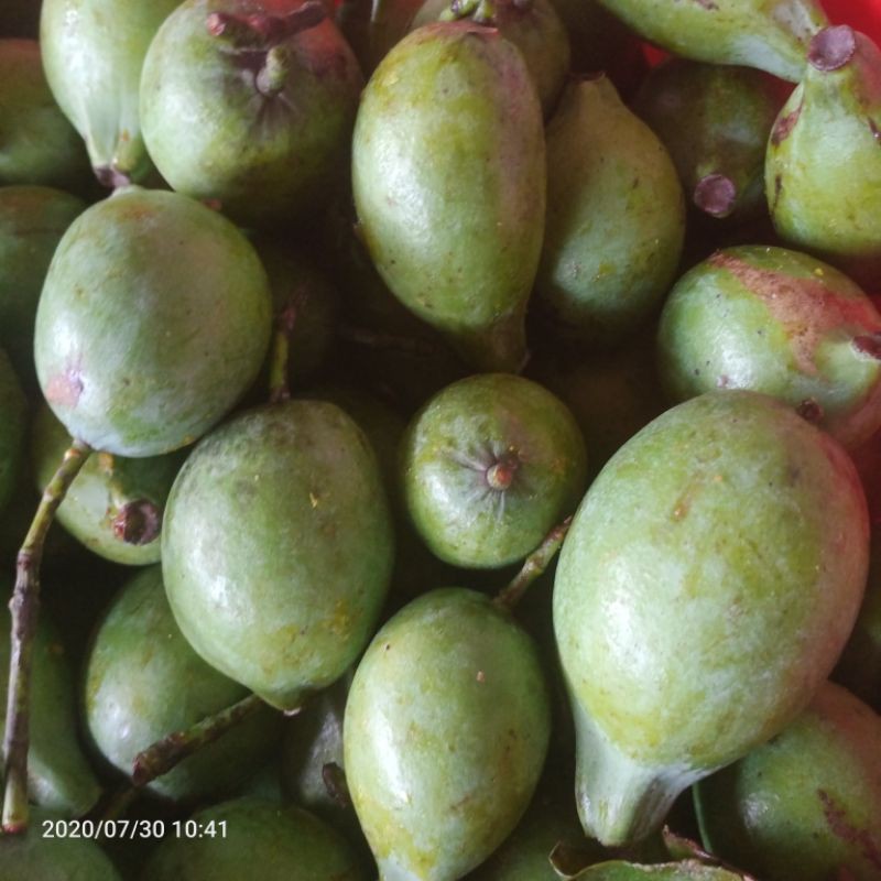 Quả dọc Phú Thọ