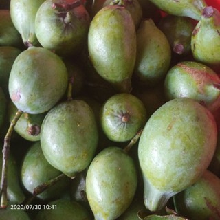 Quả dọc Phú Thọ