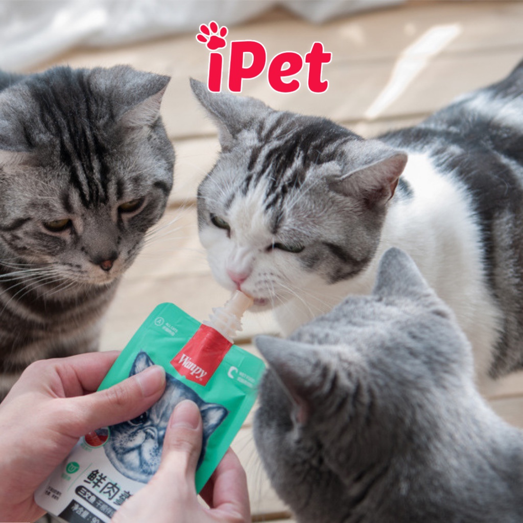 Súp thưởng WANPY nắp vặn 90g - Pate dạng soup cho mèo - iPet Shop