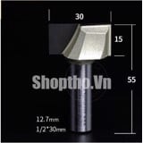 Mũi phay gỗ lấy nền ARDEN 0117