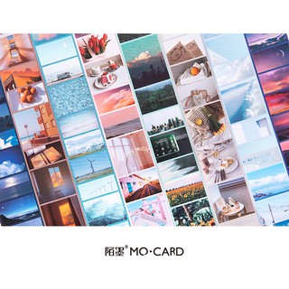 Set sticker dài phân theo chủ đề màu sắc