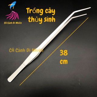 Nhíp mũi cong trồng cây thủy sinh bằng thép size 38 cm
