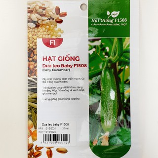 Hạt giống dưa leo baby