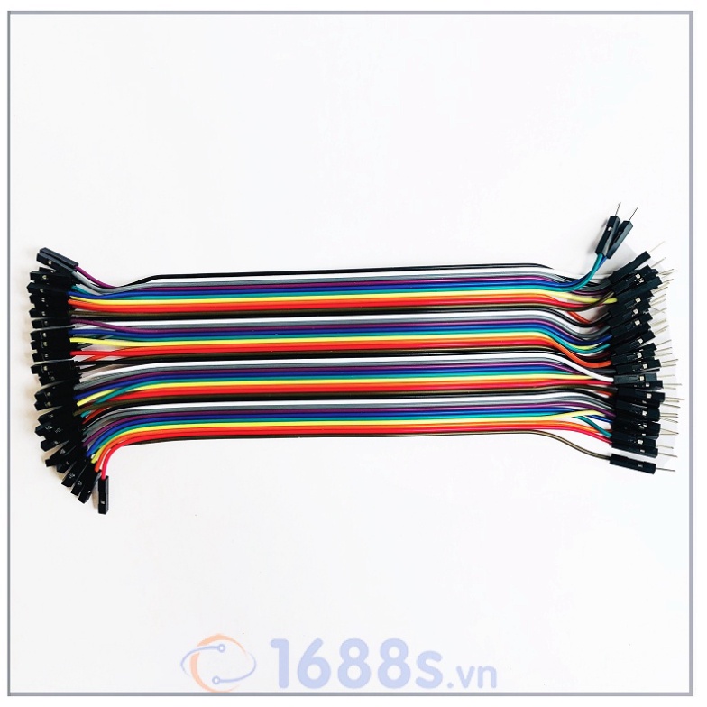 Dây Cắm ( Bus) Test Board ( 40 sợi 1 bus) - 1688s.vn