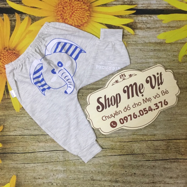 Quần in mông thun cotton 4 chiều Thái Hà Thịnh