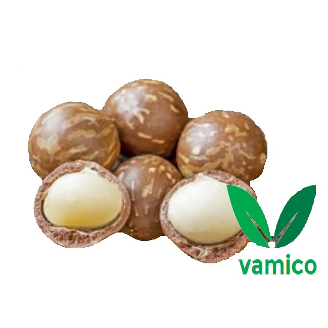 Thanh An Macca Sạch 500gr Size Nhỏ, Sấy Nứt Vỏ Lâm Đồng, Macadamia Kèm Lẫy | BigBuy360 - bigbuy360.vn