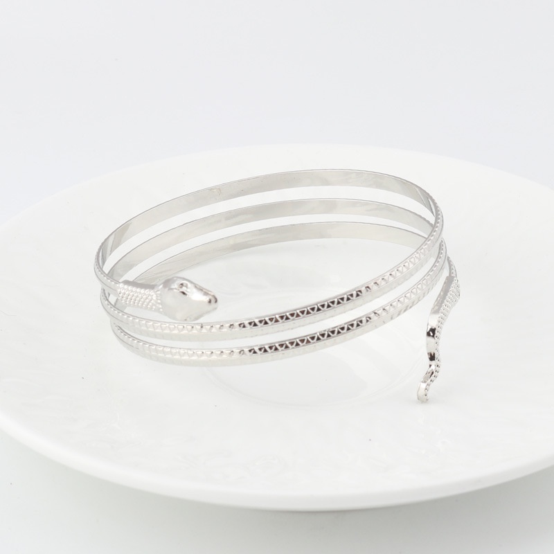 Vòng Đeo Cánh Tay Hình Rắn Bằng Kim Loại Độc Đáo Phong Cách Âu Mỹ