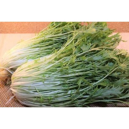 400h Hạt Giống Cải Ngọt Nhật Mizuna