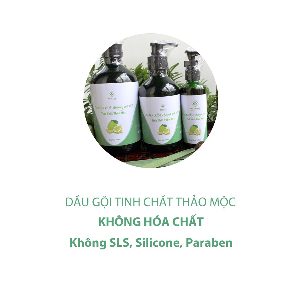 Dầu Gội Sạch Gàu Thảo Mộc 3 Trong 1 (HANDMADE) - Hoa Cỏ Xanh: Ngăn Gàu - Nấm Ngứa, Chống Rụng Tóc, Kích Thích Mọc Tóc