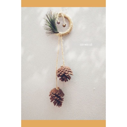 trái thông khô-phụ kiện treo tường-Handmade ( ảnh thật sự)