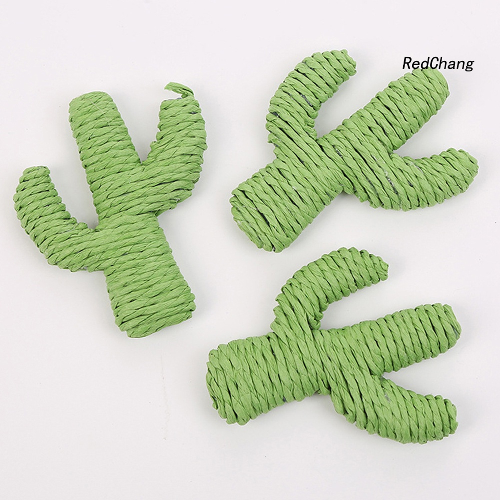 Cây Xương Rồng Đồ Chơi Mềm Cho Mèo