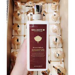 Dầu Gội Phục Hồi Tóc Hư Tổn WELLMATE Salon Hair Care 500ml