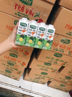 2 LỐC TRÀ TRÁI CÂY COZY