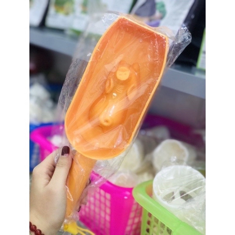 Khuôn gõ Vĩnh Trường Cá - Lợn