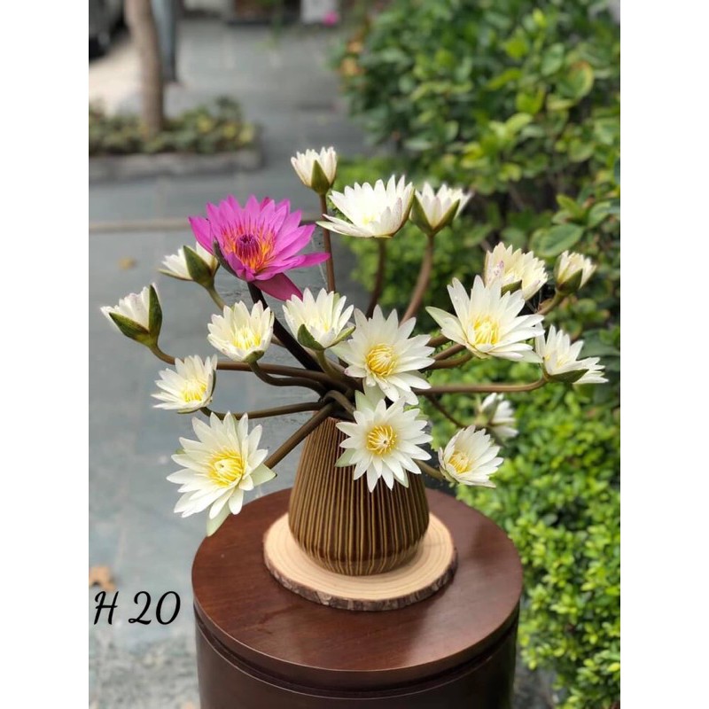 Lọ hoa Bát Tràng cao 20cm