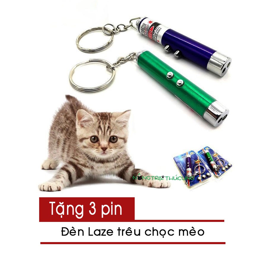 Đàn Laze trêu chọc mèo - Đồ chơi cho mèo