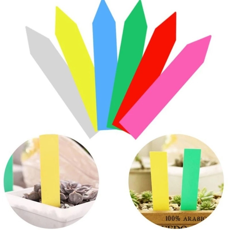 Set 100 Nhãn Nhựa Chống Nước Dùng Đánh Dấu Chậu Cây