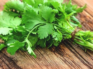 NGÒ TÂY LÁ THẲNG - FLAT PARSLEY
