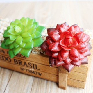 Sen Đá nhựa SILICOL ms 07 ( không kèm chậu)