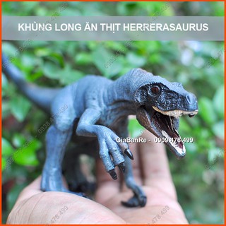 Mô hình khủng long ăn thịt herrerasaurus - 7712 2