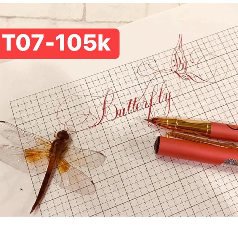 [Mã LIFEBOOK1 giảm 30K đơn 150K] Bút Hoàng Ngọc T07 (ngòi lá tre, thanh đậm)