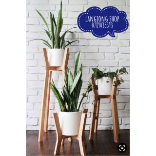 Kệ để chậu cây cảnh