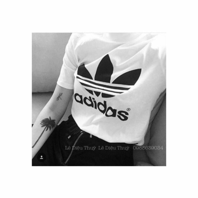 Combo áo nỉ hoodies