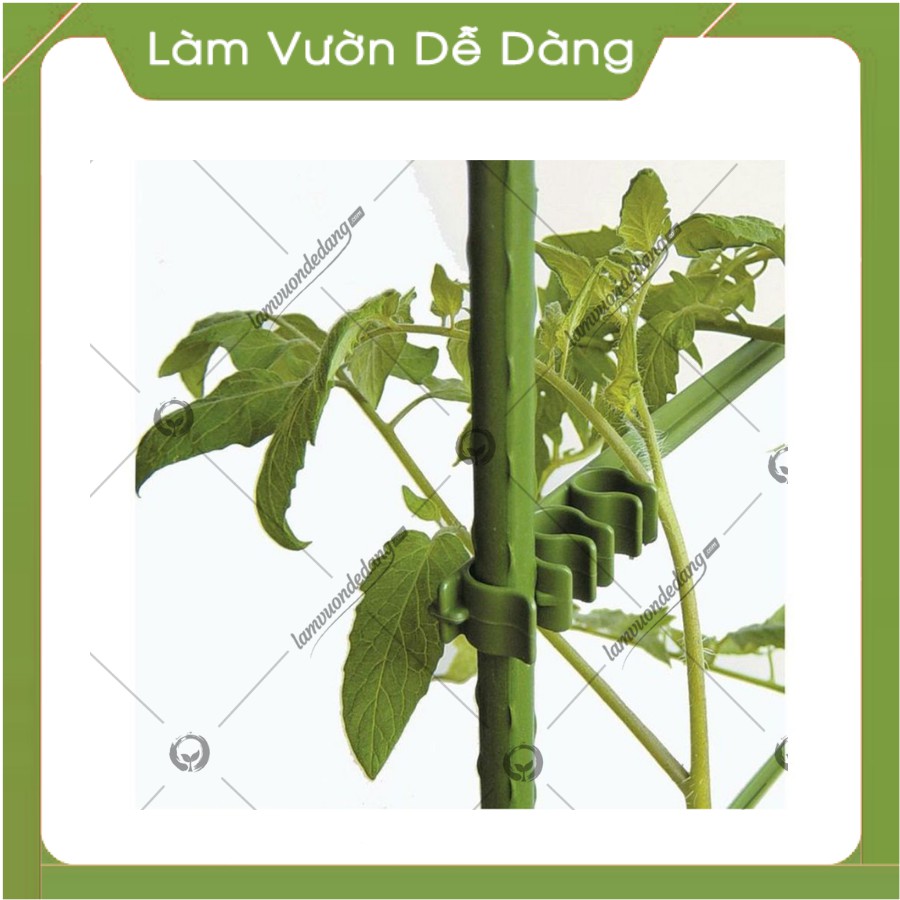 Khung Đỡ, Giá Đỡ Hoa Hồng Leo, COMBO 2 KHUNG TỨ GIÁC  0.9M 2 TẦNG