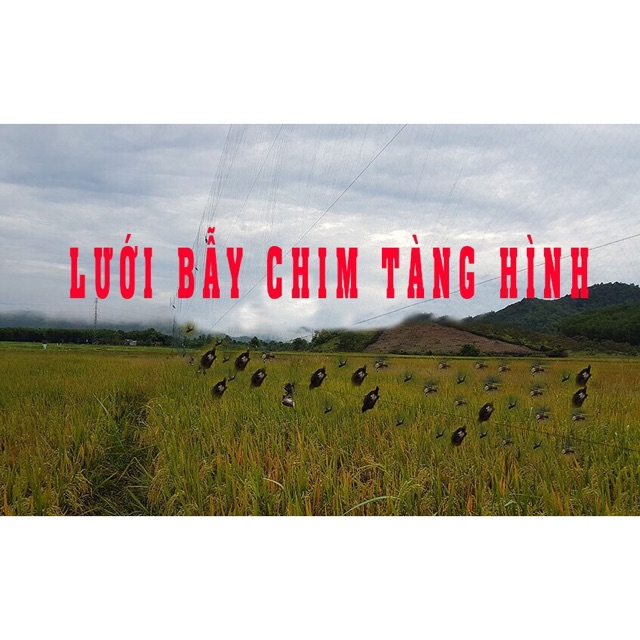 Lưới bẫy thú chất liệu bằng dù chuyên dùng bẫy gà rừng, chim cỡ lớn, rắn, chuột, diều hâu - ĐỒ CÂU PHÍA BẮC - S40