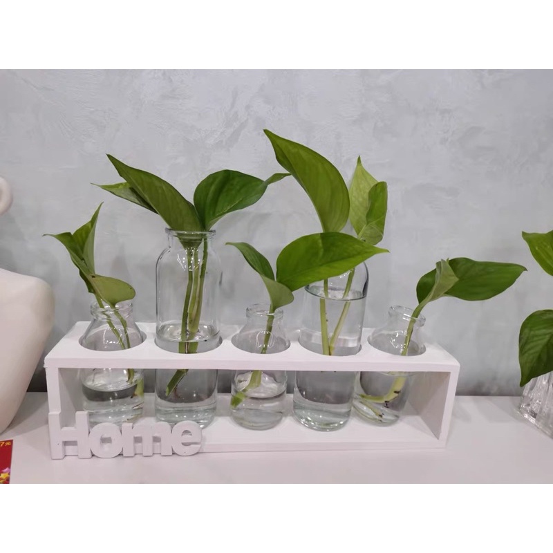 Lọ Hoa Khung Gỗ Chữ Home Bày Bàn Độc Đáo