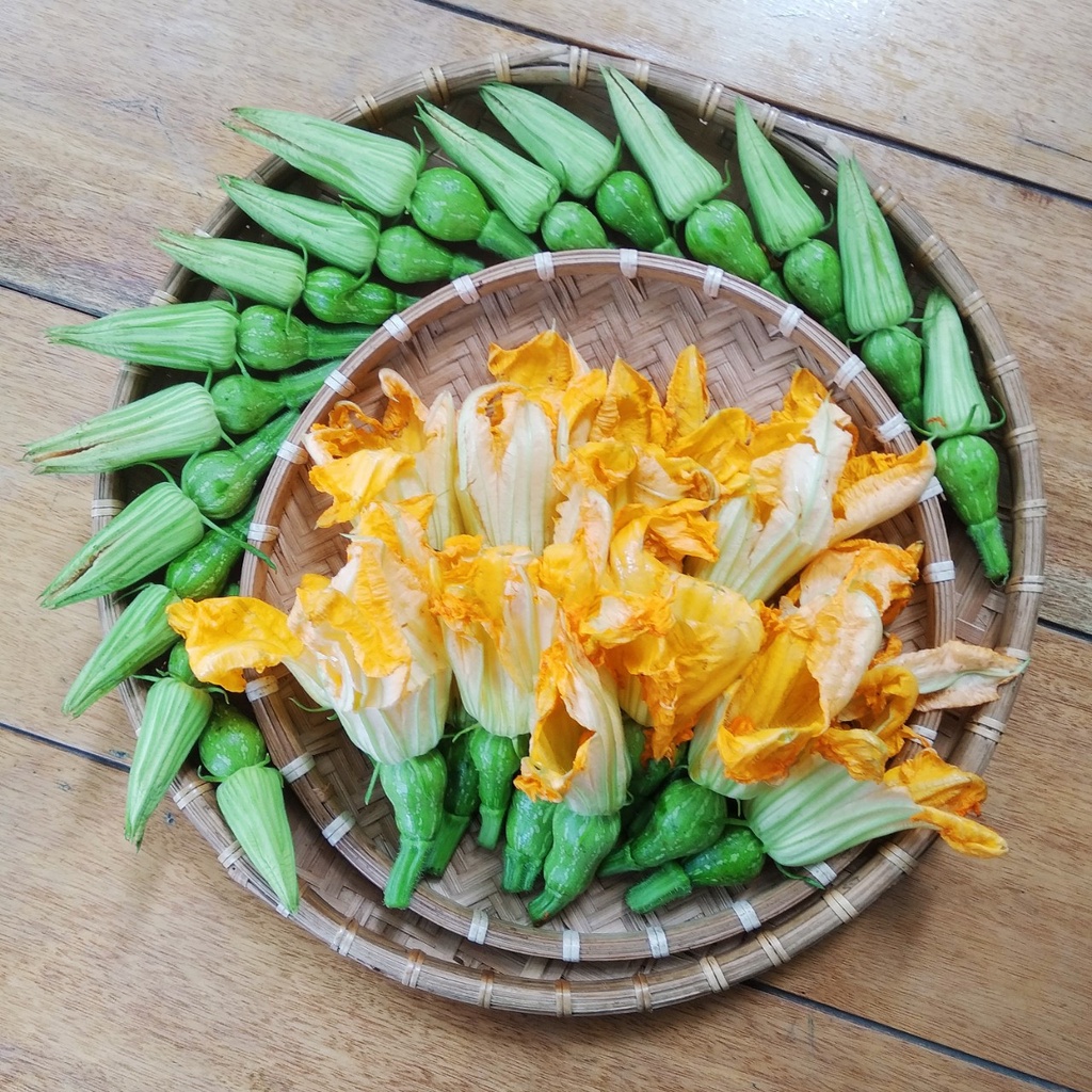 Hạt giống bí siêu nụ cao sản F1