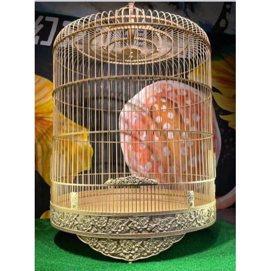 Lồng Shama tháo rời, nhiều mẫu đẹp