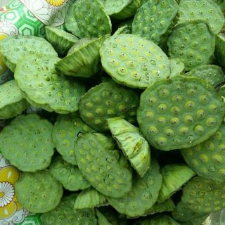 Gương sen phơi khô 1 ký