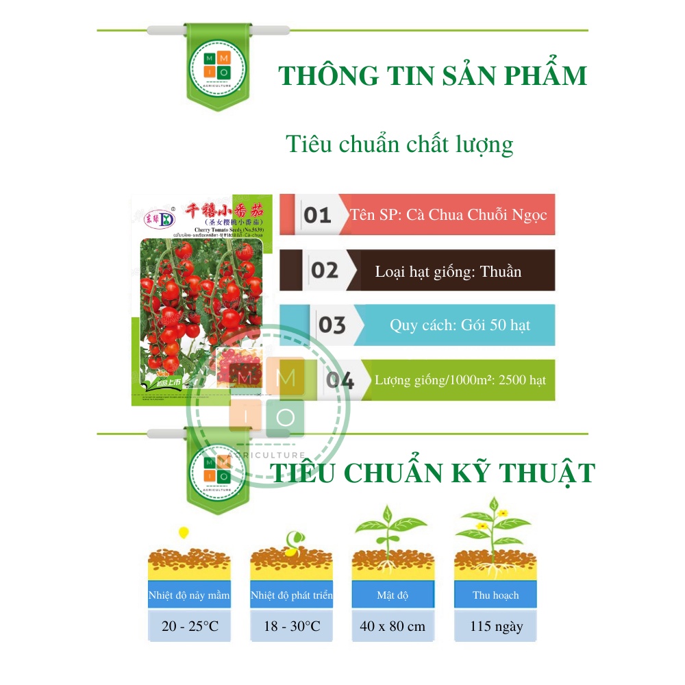 Hạt giống cà chua chuỗi ngọc chịu nhiệt siêu quả, sinh trưởng vô hạn
