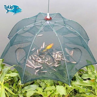 Lưới Bắt Cá Bấy Bắt Cá 8 Cửa